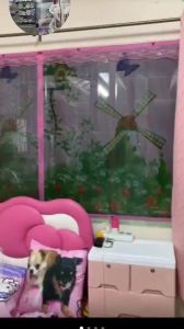 ม่านกันยุง ม่านหน้าต่างกันยุง กว้าง 100-200 cm. สูง 120 cm. และ150 cm. มีหลายลาย หลายขนาดให้เลือก ( แถมฟรี หมุดทองเหลือง 1 ชุด + หมุดกาว 1 ชุด)