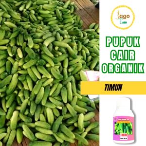 Pupuk Organik Cair Timun 100 Ml Percepat Masa Tumbuh Lebat Pengemuk Tanaman By Jagotani Yogyakarta