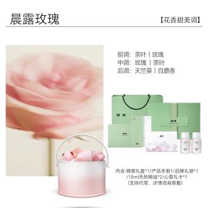 Long-Lasting Aromatherapy Diffuser Stone Gift for Friends Birthday Indoor Decorative Fragrance Ornament Best Friend Gift