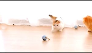 Pet Cat Smart Rotation Ball Interactive Dog Cat Ball Toy Puppy Cats Automatic Cat Toy Self-Rotating Pet Exercise Toy Smart Electric Teaser Toy