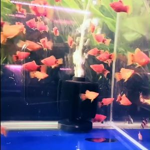 VAT🔥กรองฟองน้ำ BONETAR XY-2835/2836 XINYOU filter กรองฟองน้ำสำหรับกรองน้ำในตู้ปลาและอ่างเลี้ยงปลา ทำให้น้ำใสสะอาด