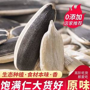 Freshly Roasted Sunflower Seeds Snack