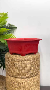 Combo 10 chậu hoa bonsai lục giác 21x8cm nhựa PP dày dặn bền chắc trắng nâu đỏ