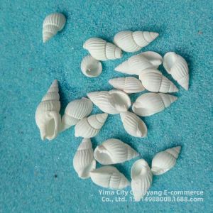 Sea Shell Micro Landscape Decoration 1-2cm