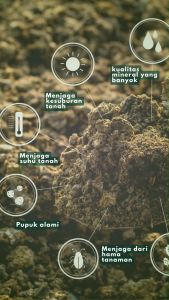 PUPUK ORGANIK PMX 100 | PUPUK ORGANIK UNTUK BUAH DAN SAYUR | READY STOK Pupuk Padat Berkualitas Tinggi Fertilizer Organik Ramah Lingkungan - Lazada