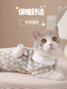 Cat Clothes Winter Anti-Hair Loss Kitten Pet Autumn and Winter Ragdoll Cat Short Foot Silver Gradual Layer Kittens Winter Winter