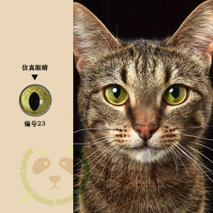 Felt Cat Eye Doll Eyes Realistic Animal Glass Eyes Flat Bottom Half Ball Shape for Cat Dog Costume Sewing DIY Accessories