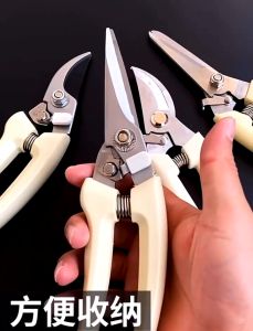 พร้อมส่งในไทย กรรไกร กรรไกรตัดกิ่งไม้ กรรไกรตัดแต่งกิ่งไม้ กรรไกรแต่งกิ่ง ปากโค้ง ปากตรง ราคา/ชิ้น