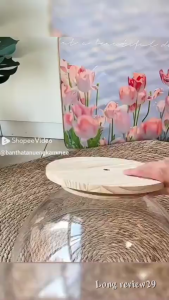 ที่นอนแมว หลุมอวกาศ หลุมอวกาศแมว แมวอ้วน 30กิโลกรัม โดมอะคริลิคแมว หลุมแมว Cat litter 😻หลุมแมว🐈🐱แบบหมุนได้😻รังแมวแคปซูลอวกาศ 2in1 หลุมแมวตั้งพื้น หลุมอวกาศ บ้านแมว ของเล่นแมว ที่นอนอวกาศ จานเสียงไม้เนื้อแข็งอะคริลิค