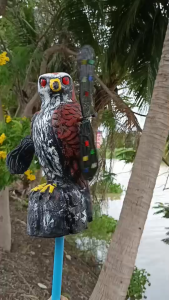 ไล่นกตามทุ่งนา หุ่นไล่กา ไล่นกบ่อปลา ไล่นกบ่อกุ้ง ไล่นกกลางแจ้ง ไล่นกบนหลังคา ไล่นกสวนผลไม้ ไล่นกสวนทุเรียน ตัวใหญ่ ติดตั้งง่าย  อุปกรณ์ตกแต่งสวน