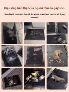 MONLEYTA | 30 miếng dán chuột siêu dính bắt chuột cỡ lớn diệt chuột dùng tại nhà dụng cụ bắt chuột bằng giấy cứng