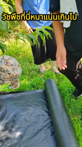 ขนาดใหญ่3x100m.3x50m.2x50m.2x100m.1x100m.1x50m ผ้ากันวัชพืช ผ้ากำจัดวัชพืช ระบายอากาศและน้ำซึมผ่านได้