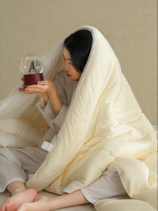 NELA HOME | Four Seasons Warm Comforter Soybean Fiber