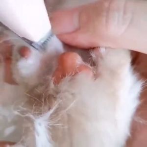 Pet Trimmer Paw: Alat Cukur Bulu Elektrik Untuk Anjing & Kucing