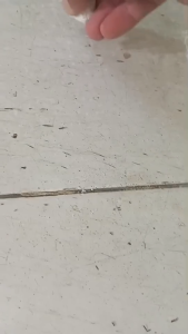 ชอล์กขีดไล่มด ม้านํ้า ซื้อ 5 ก้อน เพียง 5 บาท (เฉลี่ยก้อนละ 1 บาท เท่านั้น) ไล่มดแบบปลอดภัย ไร้สารเคมี สมุนไพร100% ไม่มีอันตรายต่อคนและสัตว์