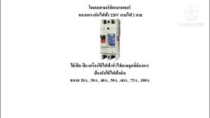 CT Electric - เซอร์กิตเบรกเกอร์ MCCB แบบ 3P ขนาด 20A 30A 40A 50A 60A 75A ( เบรกเกอร์ MCCB 3 สาย ทนกระแส 10kA)