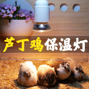 25W/50W/75W/100W UVA+UVB 3.0 Reptile Lamp Bulb Turtle Basking UV LightBulb Heating Lamp