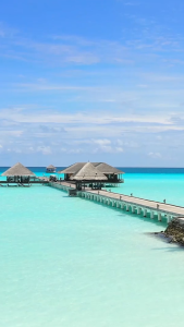 UIN Ibiza Womens Beach Casual Sandals Art Painted Travel Anti-Slip Slippers Comfort Flip-Flops