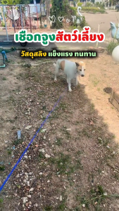 Maiyilai สายจูงหมาใหญ่ โซ่ล่าม สายเคเบิ้ล Cable โซ่ล่าม โซ่จูง สุนัข ความยาว10 ฟุต เชือกจูงสุนัข พร้อมตะขอเกี่ยว 2 ด้าน หัว-ท้าย