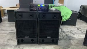 ชุดตู้ลำโพง สุดคุ้ม  ชูนิตบ้าน 15 นิ้ว (ดอกหงาย) พร้อมเเอมป์