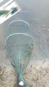 Portable Premium Nylon Folding Fishing Net Durable Sea Shrimp Lobster Trap