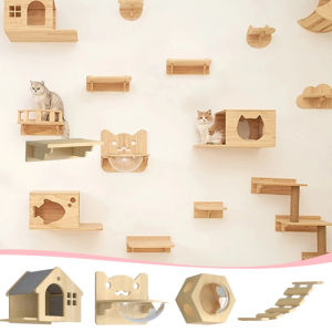 Cat Stairway & Wall Furniture: A Comprehensive Guide