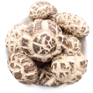 Northeast Da Huagu Duanmu Dry Shiitake Mushrooms 500g