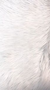 AlQuran Kajian Perkata Irab Juz 28 Non Terjemah Soft Cover Dr Muhammad Mahmud Al Qadhi