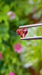 พลอย ออเรนจ์ แซฟไฟร์ Orange Sapphire 0.59 กะรัต (Cts.) พลอยแท้ อัญมณีมงคลประจําวันเกิด เครื่องประดับพลอย