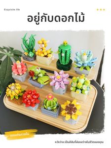 FEIMI | Khối Xây Dựng Hạt Nhỏ Giáo Dục