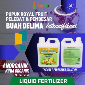 Pupuk Khusus Buah Delima / Pupuk Booster Delima / Pupuk Penyubur Buah Delima / Pupuk Pelebat Buah Delima / Pupuk Buah Delima Berbuah Lebat