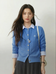 SEIFINI | Vintage Style Golden Button Embroidered Wool Sweater
