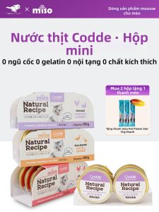 NIUYUAN |Thức ăn ướt dạng hạt mịn xay nhuyễn dành cho mèo con