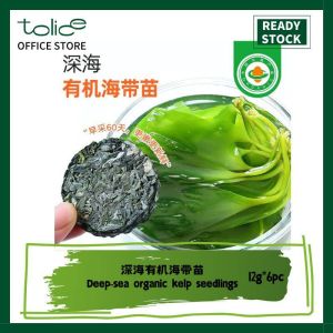 12g * 6 Pcs 有机海带苗 Organic Kelp Seedlings 嫩芽 海带丝 鲜嫩 压缩 干货 非盐渍 火锅菜凉拌菜 Shredded Kelp Hot Pot Dish