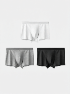MiiOW | Disposal Male Cotton Briefs Travel Wear