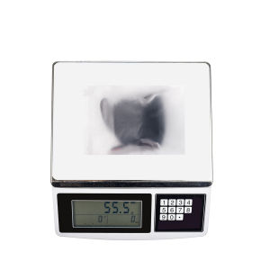 Mini Bag Case for DJI osmo 360 Carrying Camera accessories for DJI osmo 360 Camera Storage bag Camera Accessories