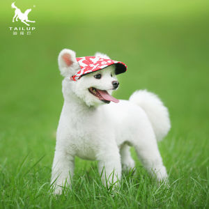 New fashion cat and dog clothing hat baseball cap outdoor travel sun hat