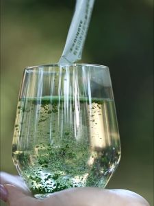 พร้อมส่ง! ผงผักเคล ออแกนิค แบบชงดื่ม Kale Powder (1แพ็ก/20ซอง) แบรนด์ Qingye ออแกนิค100% มีประโยชน์ ดีต่อสุขภาพ