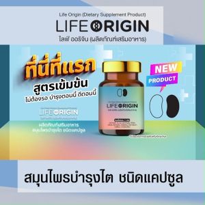 (Life Origin) ไลฟ์ ออริจิ้น สมุนไพรบำรุงสุขภาพ บำรุงไต หัวใจ เลือด 30 แคปซูล 1 กระปุก พร้อมส่ง