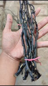 Paket Bahan Akar Bahar Hitam Mini Lentur Isi 10 Batang