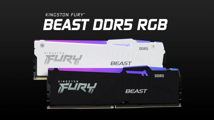 Kingston FURY Beast DDR5 White RGB Desktop Gaming AMD EXPO Memory RAM ...