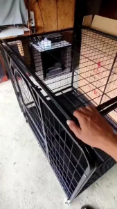 GREENPETS Dog Cage Square Tube Dog Cage Bold Metal Large Dog Cage With Tray Heavy Duty Border Collie Cage