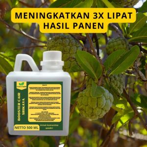 Pupuk Pelebat Srikaya / Pupuk Buah Srikaya / Pupuk Booster Srikaya / Pupuk Srikaya