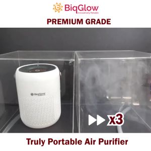 BiqGlow 【PREMIUM & SMART】 TVOC SMART Air Purifier HEPA13 Medical Grade Negative Ion PU-102