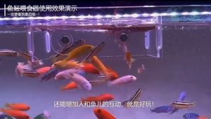 New Elegant Acrylic Fish Tank Feeder with Anti-Drifting Suction Cups - High-Quality Pet Food Dispenser for Aquariums (for floating fish pellet)