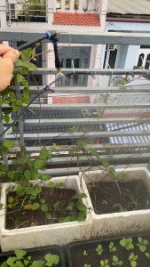 Béc phun sương bằng đồng kèm Tê 8mm chân ren 21mm dùng để tưới lan tưới cây làm mát mái tôn
