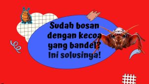 Pembasmi Kecoa Spray Genos Racun Anti Kecoa Kecoak Bugs Buster ramah lingkungan