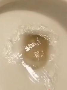 [SG SELLER]Toilet Effervescent Powder/Sewer toilet descaling cleaning removing peculiar smell/Urine alkali dissolving agent toilet cleaner 350g