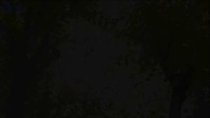 รถเข็นผู้สูงอายุพับ รถเข็นผู้ป่วยไฟฟ้า รถเข็นไฟฟ้าผู้สูงอายุ เก้าอี้รถเข็น รถเข็นไฟฟ้า มีตัวควบคุม มัลติฟังก์ชัน วัสดุ ที่แข็งแรง ยางหนา รถเข็นผู้สูงอายุพับ รถเข็นผู้ป่วยไฟฟ้า รถเข็นไฟฟ้าผู้สูงอายู เก้าอ