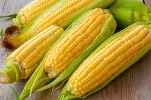 BIJI BENIH TANAMAN JAGUNG MANISE HAWAI (REPACK)